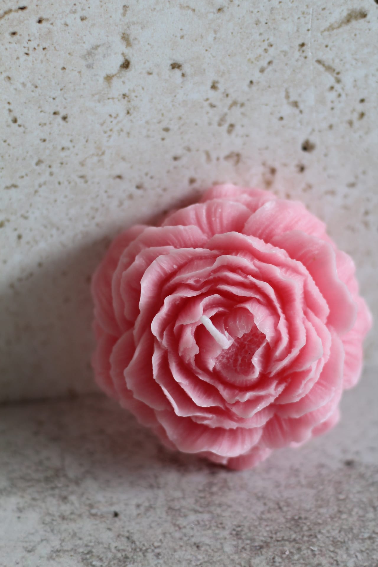 Rose Home Page Slider